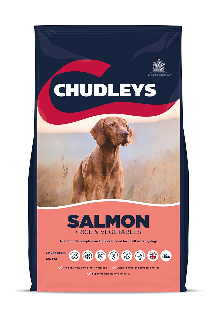Chudleys Maintenance Salmon & Rice with Vegetables Dry Dog Food - 15kg